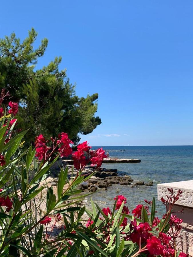 Apartments Valentina Umag Bagian luar foto